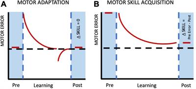 Reflecting on what is “skill” in human motor skill learning